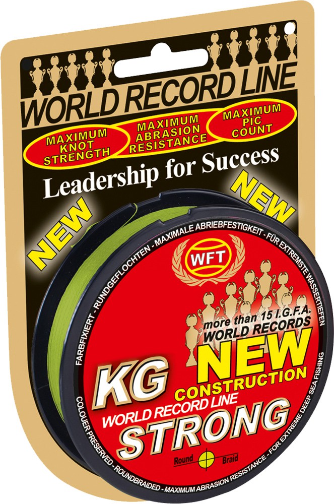 WFT KG STRONG Schnur 300m 0,22mm 32kg 0,20€/1m 