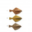 XCB Gummifische Plattfisch