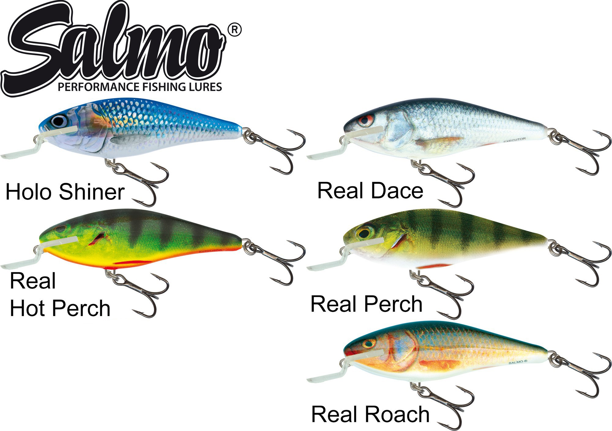 Salmo Wobbler Rover7F Hotperch 7cm 11gramm floating Tauchtiefe Oberfläche 0 m.