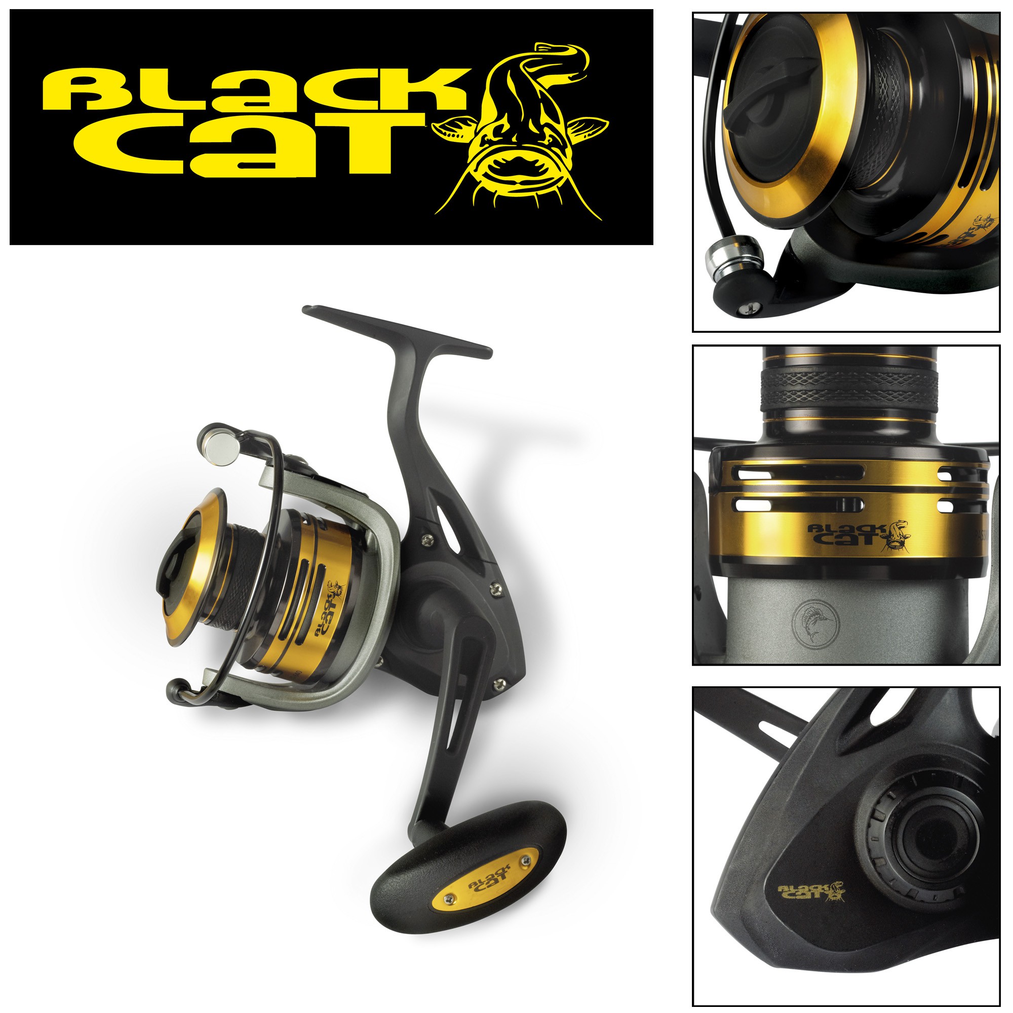 Black Cat Passion Fd Black Cat Passion Fd