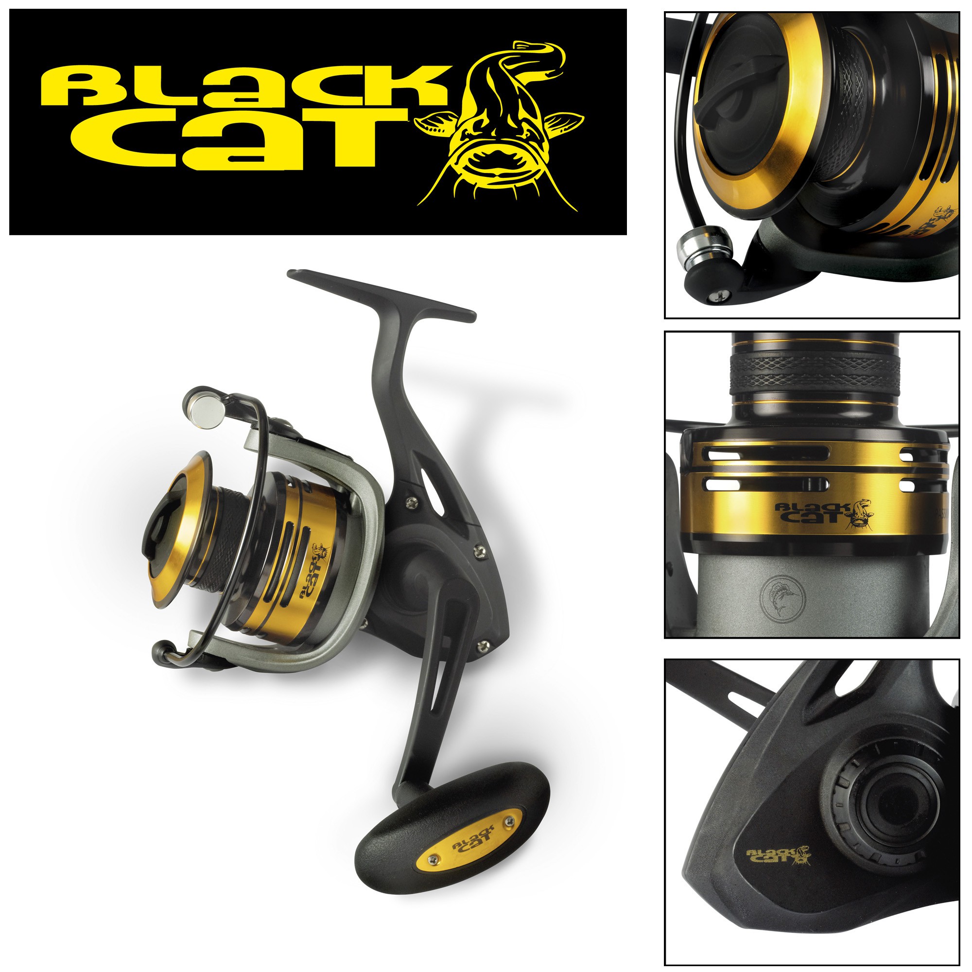 Black Cat Passion Pro Fd Black Cat Passion Pro Fd